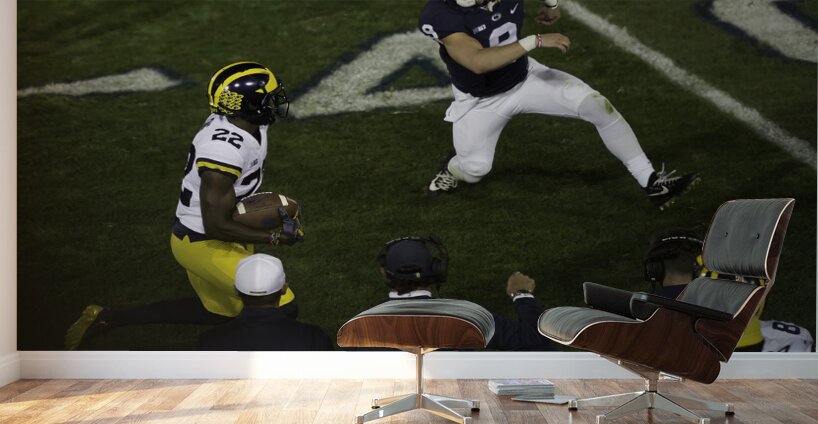 ACT 01380 Wall Murals