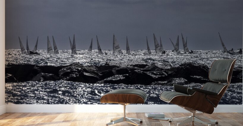 ACT 01350 Wall Murals