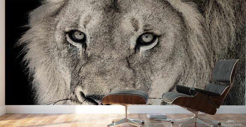 Courage Wall Murals