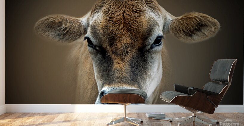 Over the MOOON Wall Murals