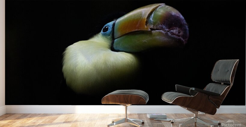 In the Light Wall Murals