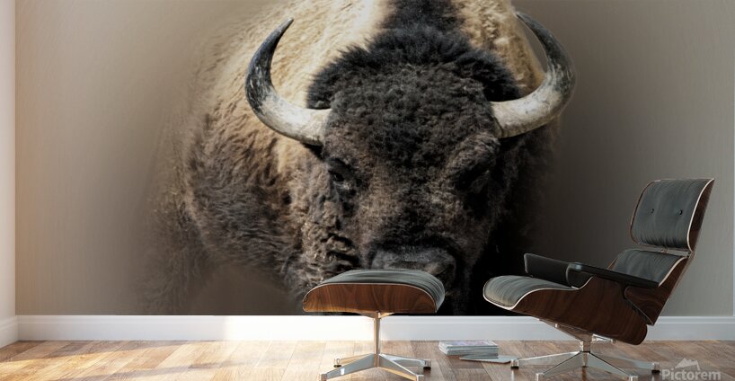 Earth Shaker Wall Murals