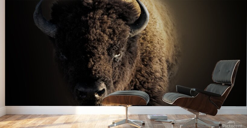 Wandering In Wall Murals