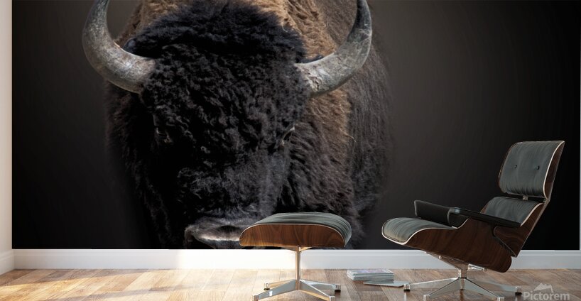 The Business End Wall Murals