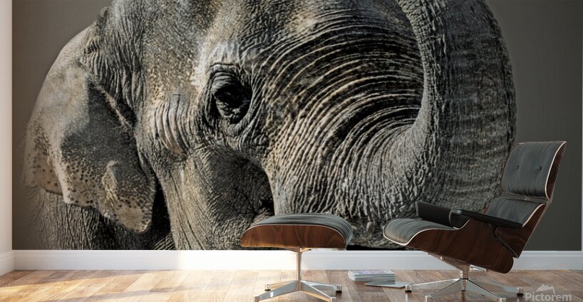 Asian Wall Murals