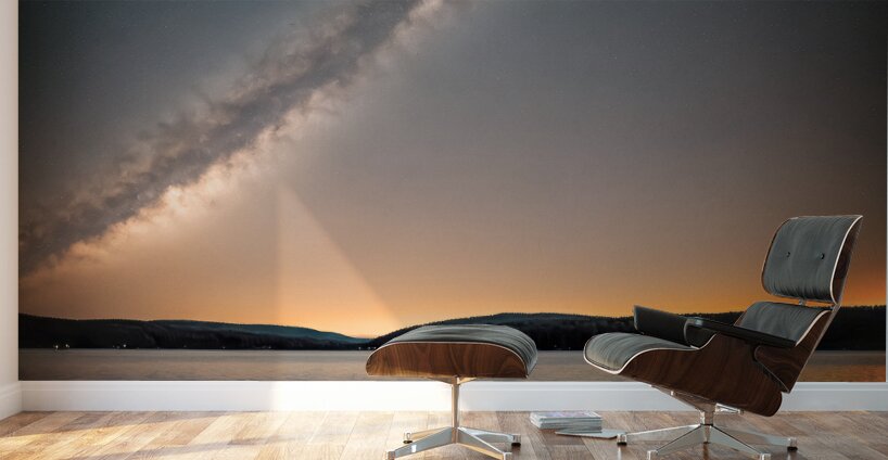 Nocturnal Paddle Wall Murals