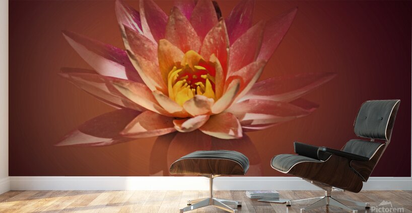 Spa Lily Wall Murals