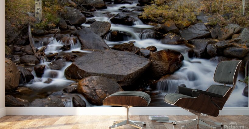 Fall Sanctuary Wall Murals