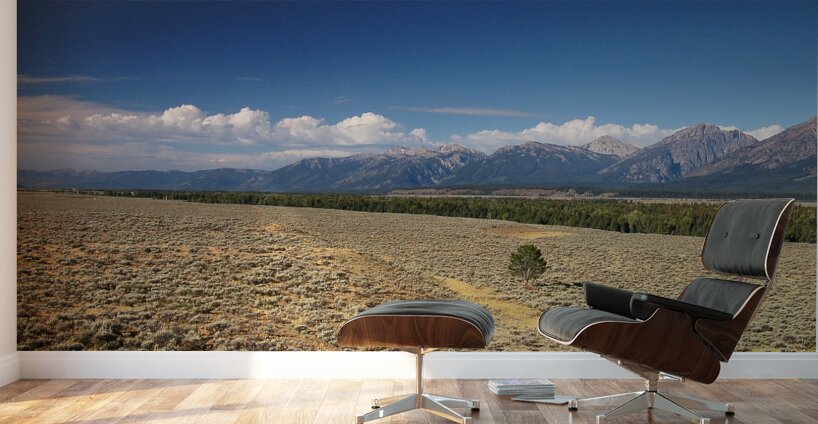 Grand Teton Standing Out Wall Murals