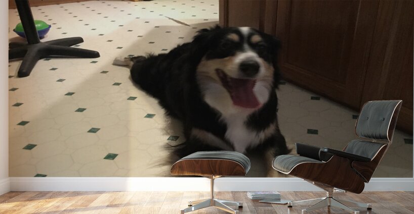 CED82A30 EC9C 4A67 950F 880C3A810FA9 Wall Murals