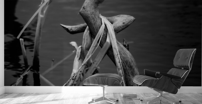 Serene Sylvan Lake: A Tale of Resilience and Reflection Wall Murals