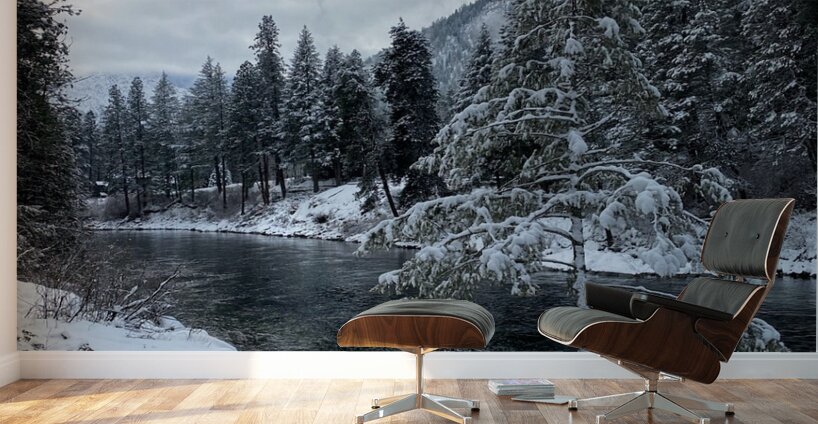 snowy creek  Wall Murals
