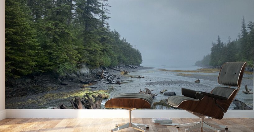 driftwood Wall Murals