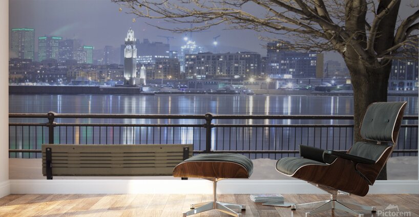 Cityscape from Inner city park at night Wall Murals