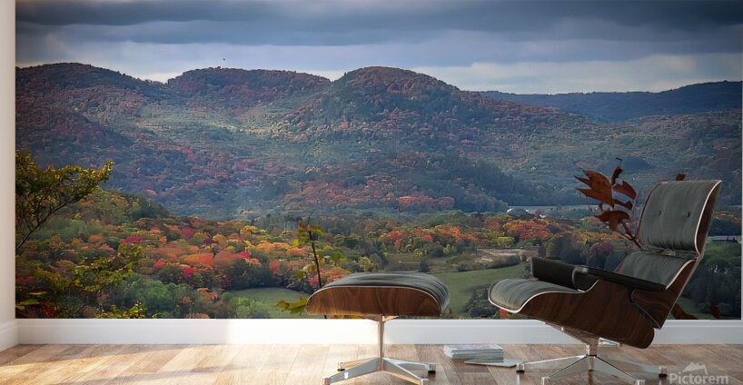 Laurentian View Wall Murals