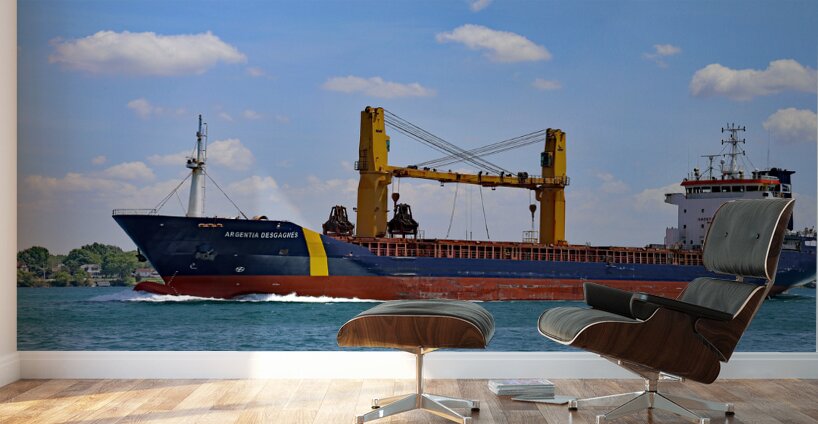 Argentia Desgagnes 053122 Wall Murals