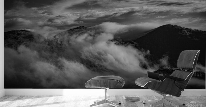 IMG 8786 Wall Murals