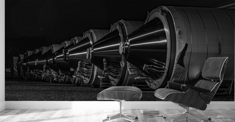 IMG 9300 Wall Murals