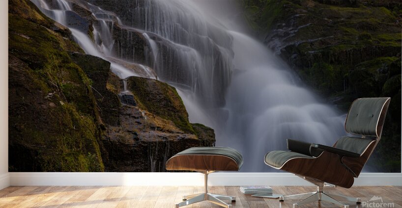 IMG 9285 Wall Murals