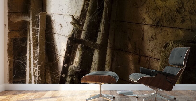 Webs and Parts Wall Murals