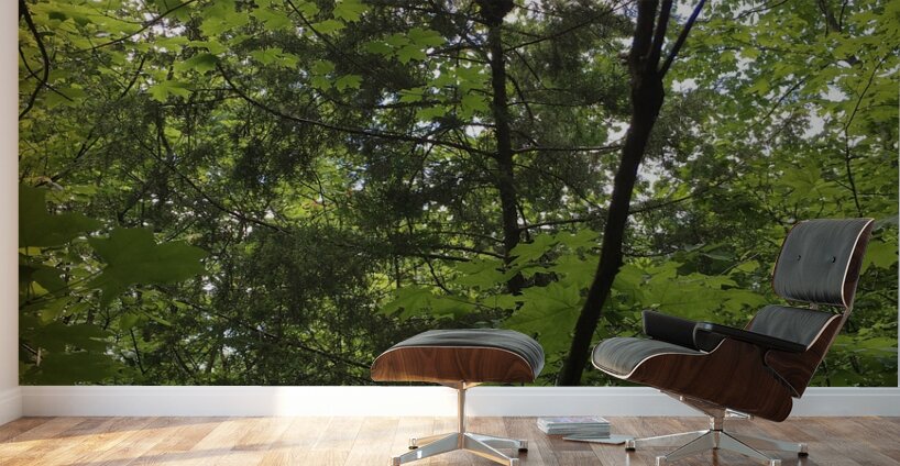 E5A1D5D7 F7D3 40D3 BA47 071C727454C0 Wall Murals