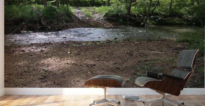 98FE13CE 825F 4D54 9BAF 96484FDA03C2 Wall Murals