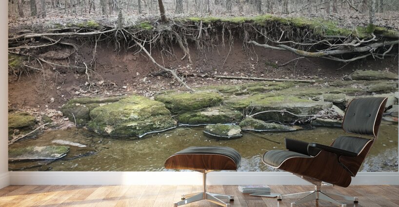 8D3B55C6 982D 4A05 A4E8 40277914F50C Wall Murals