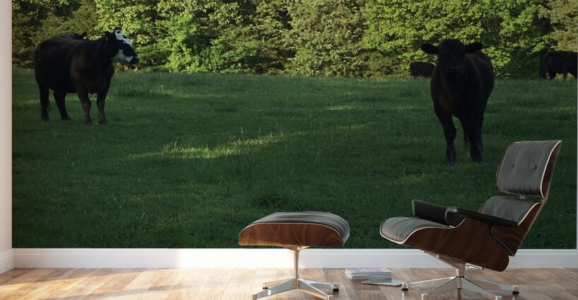 419FAC2D 7F14 403D AD16 C7AF74EDE89C Wall Murals