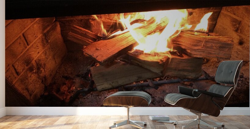 69FD78C5 6AE7 4946 86CB 455847FEC87C Wall Murals