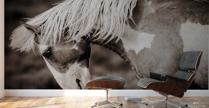 Meteor In Motion Wall Murals