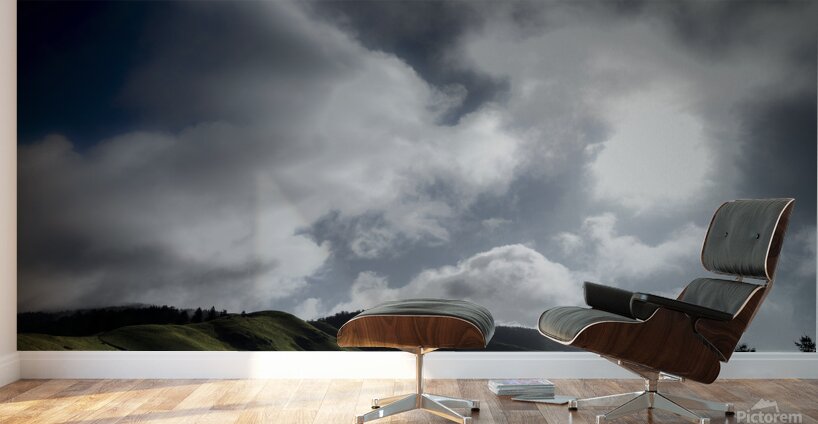 Ridgecrest Road 9259 Wall Murals