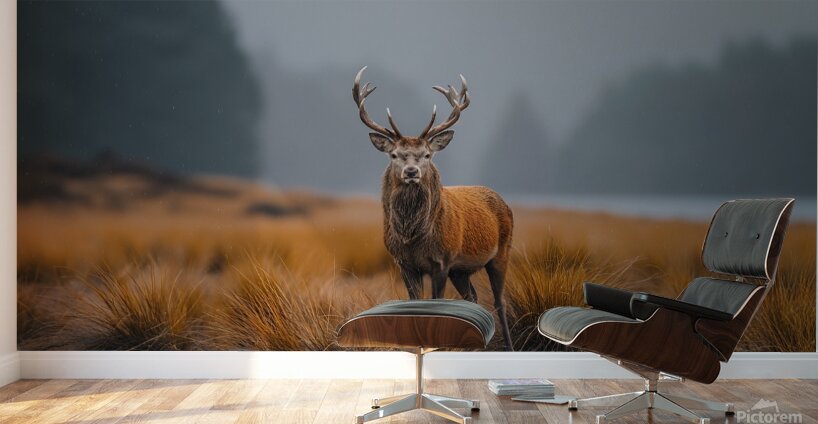 yakynuka Red deer are the iconic wildlife of the Wall Murals