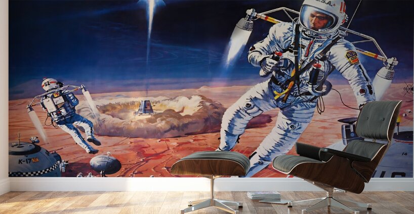 1964 United States Astronauts Art Wall Murals