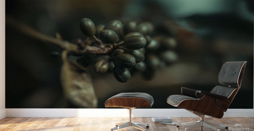 gsehru  photo 1707768559222 Wall Murals