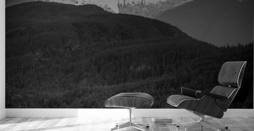 glacier covered mountain peaks squamish  vertical Wall Murals