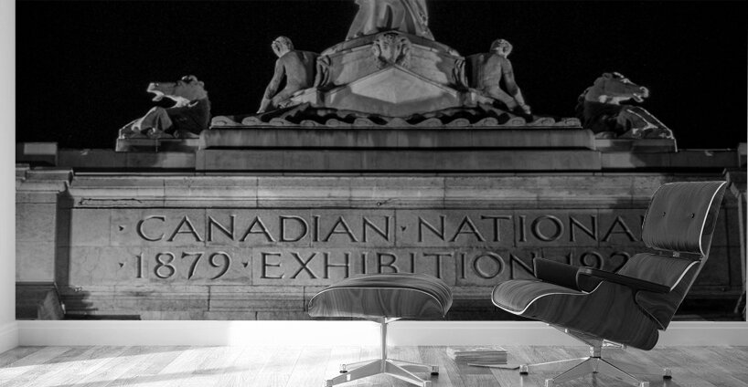 canadian national exhibition at night  vertical 4 Wall Murals