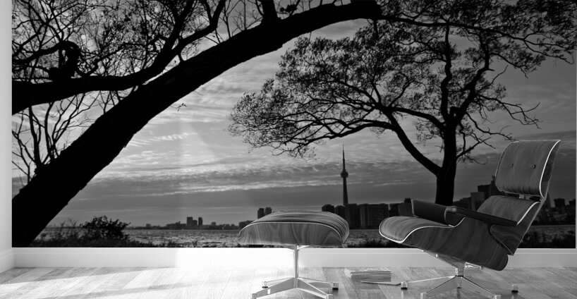 downtown toronto skyline from wards island  horiz Wall Murals