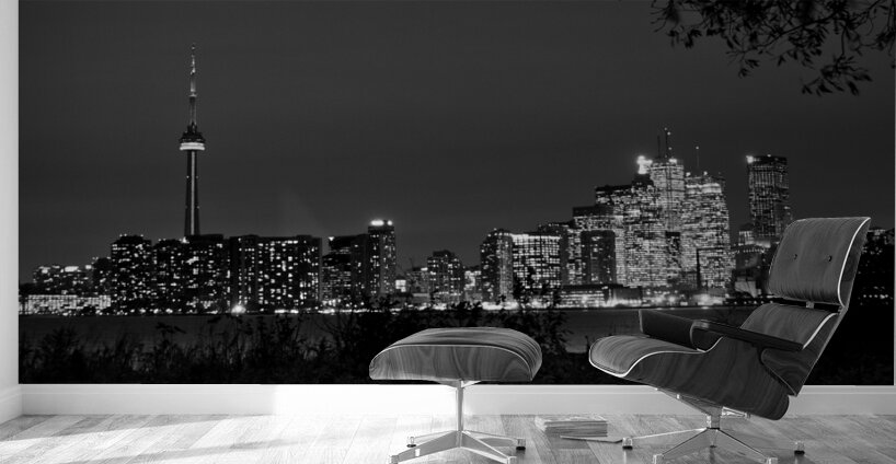toronto skyline at night  panoramic 3024 Branches Wall Murals