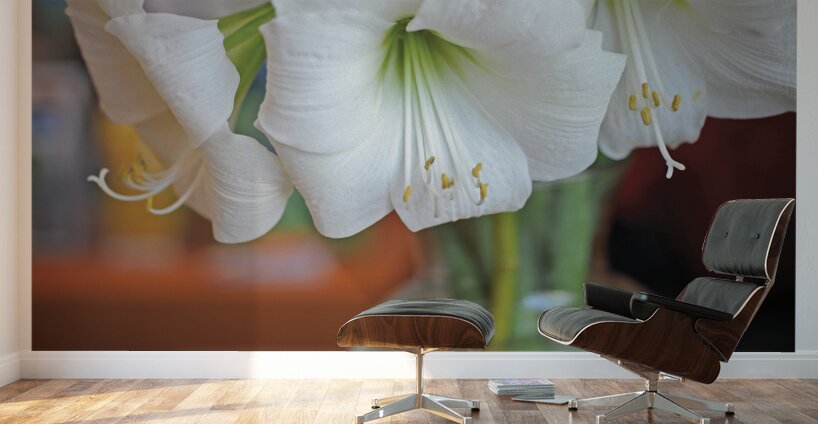 LE GENIE DE LA SIMPLICITE Wall Murals