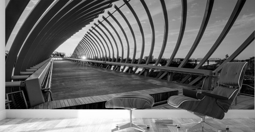 Sunrise Through The Farnam Pier Beams Grayscale Wall Murals