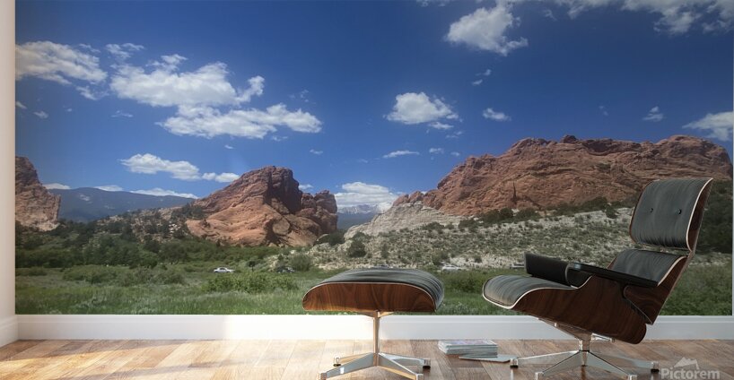 IMG 4153 Wall Murals