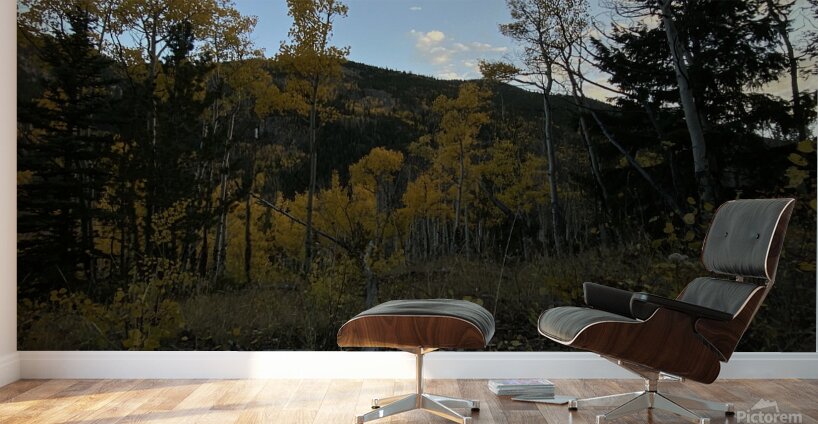 IMG 8279 Wall Murals