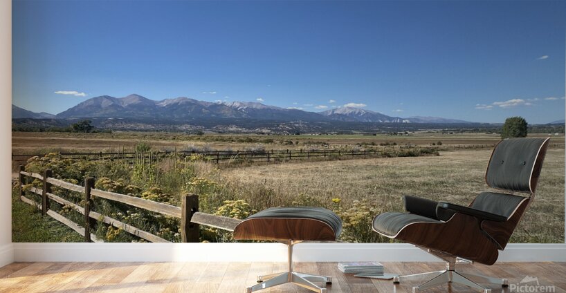 IMG 8096 Wall Murals