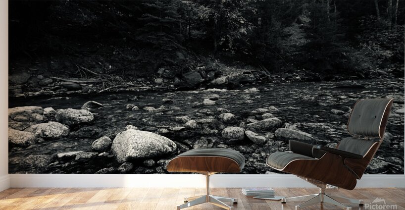 IMG 8124 Wall Murals