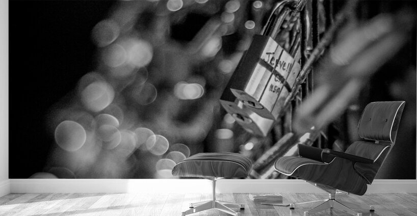 paris love locks at night  vertical 2484 Jevelle Wall Murals