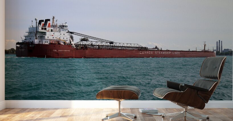 CSL Assiniboine 091717 Wall Murals