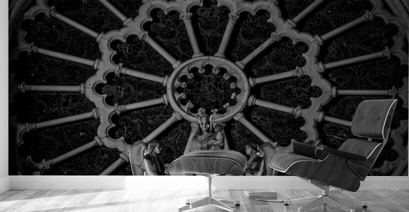 rose on notre dame de paris  square 2479 Rose 13k Wall Murals