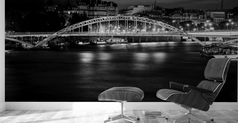 pedestrian bridge over river seine  horizontal 24 Wall Murals