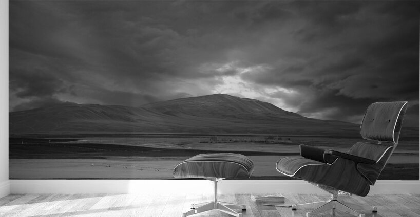 Brooding Wall Murals