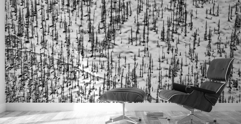 Shadow Forest Wall Murals